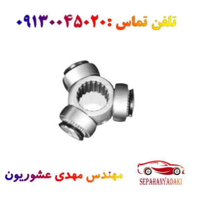 سه شاخه پلوس ریو