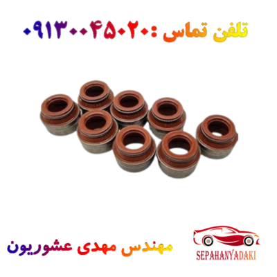 سه شاخه پلوس ریو