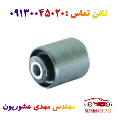 بوش طبق ریو