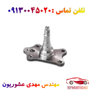 محور عقب ریو