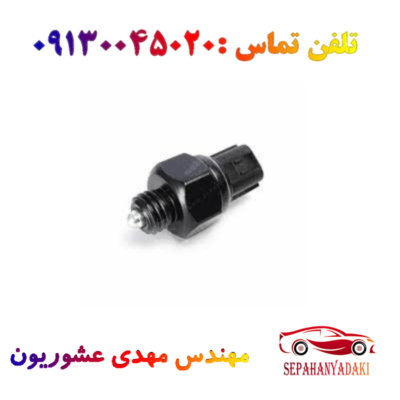 فشنگی دنده عقب ریو اصلی