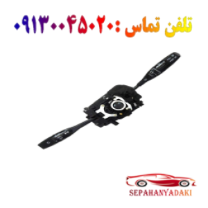 دسته راهنما ریو